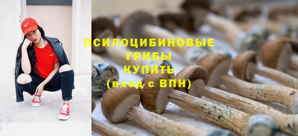 а пвп мука Зуевка