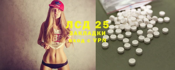 амф Россошь