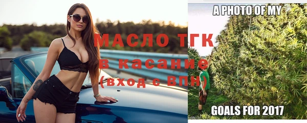 индика Саяногорск
