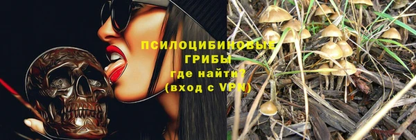 mix Сатка