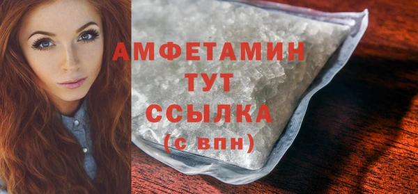 индика Саяногорск
