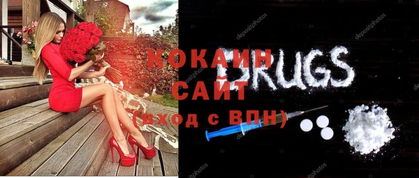 индика Саяногорск