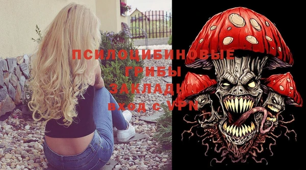 твердый Дмитриев